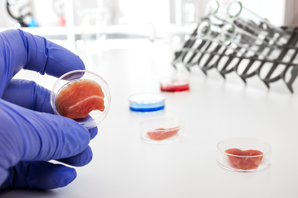 Steaks and Cell Lines: In Vitro Technology in Meat Production