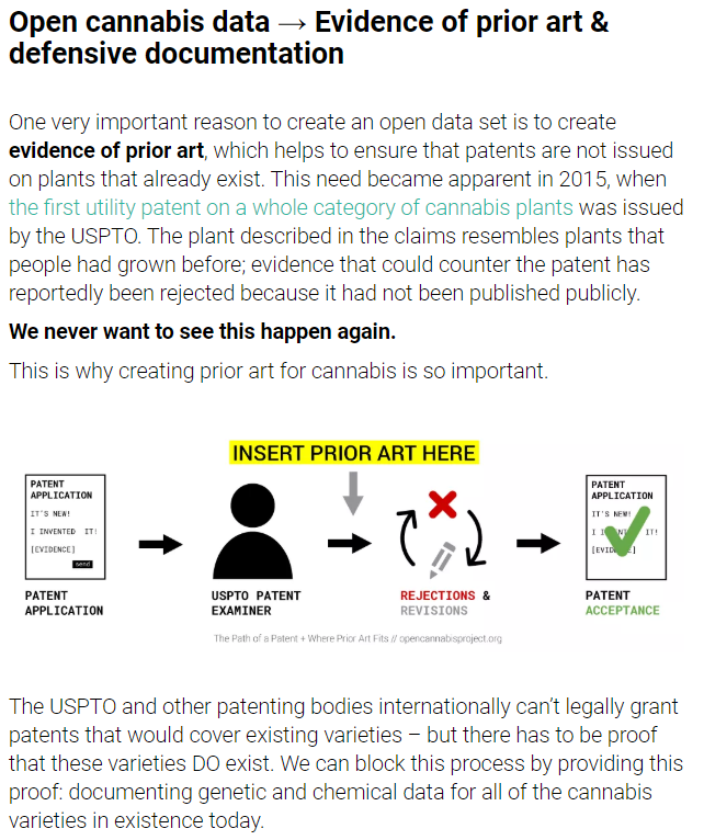 open cannabis data