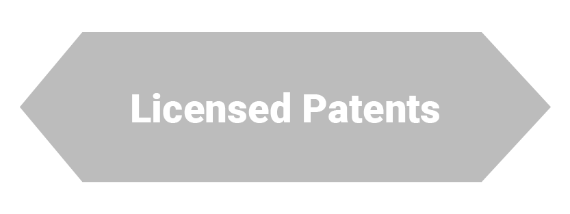 Gap 2 Licensed Patents